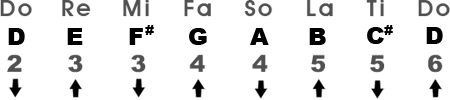 Major Scale in the Key of D